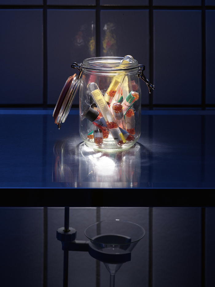 Les graines du passé: les défis des banques de semences face au changement climatique, Jardin Botanique de Genève, Chambésy