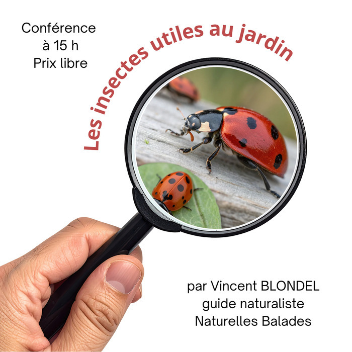 Les insectes utiles au jardin, La Brouette en Scène, Broût-Vernet