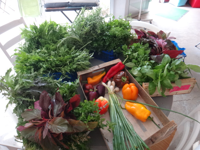 LES MARDIS BIO Grand'Rue Villeneuvette 2026-06-23