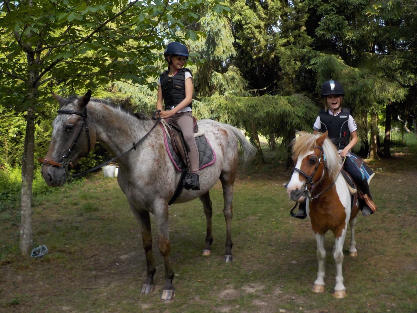 Les matinées 100% poney vacances de Pâques  Dammarie-en-Puisaye