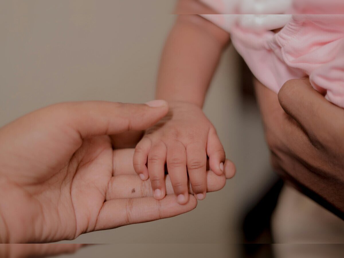 Les mini explorateurs Gavray Gavray-sur-Sienne