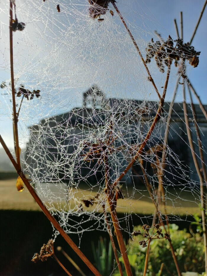 Les noctambules de Salagon Salagon