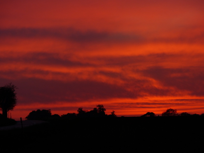 Les oiseaux au crépuscule Parking de la Redoute