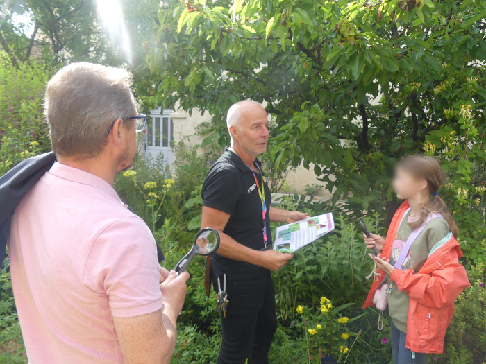Les petites bêtes du jardin