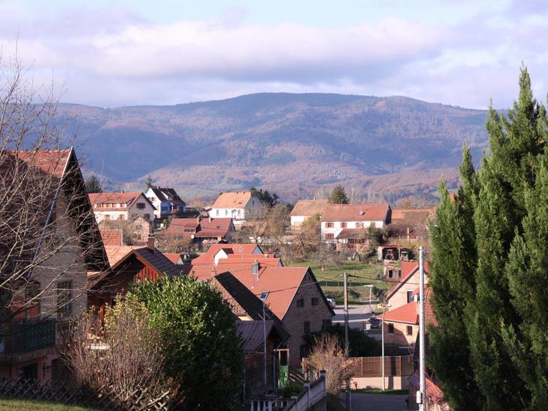 Les petits explorateurs à Dieffenbach-Au-Val Dieffenbach-au-Val Grand Est