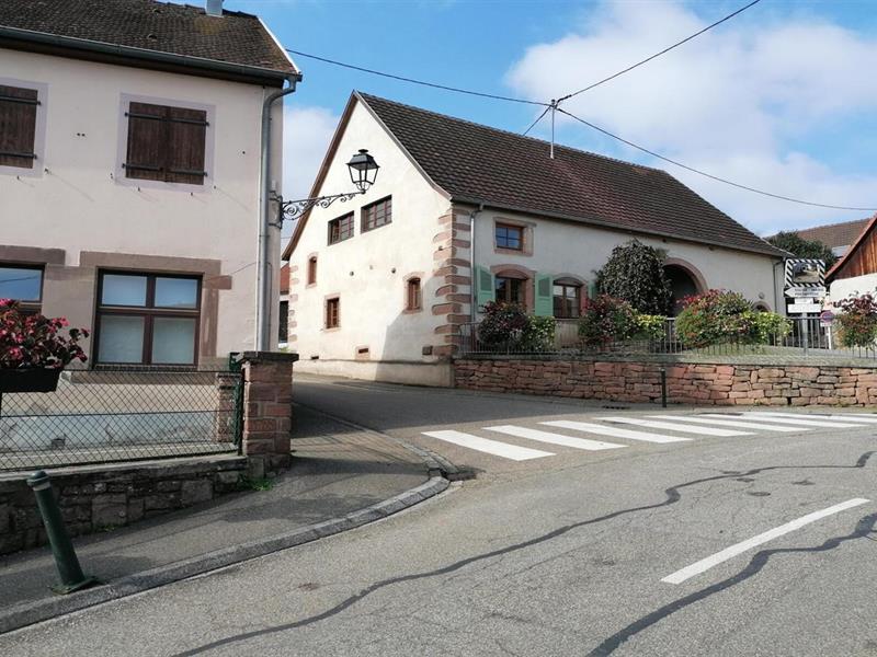Les petits explorateurs à Neubois Neubois Bas-Rhin