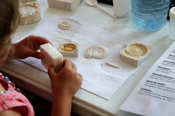 Les petits labos du Musée « Les fossiles » / à la Pouponnière, La Pouponnière, Lille