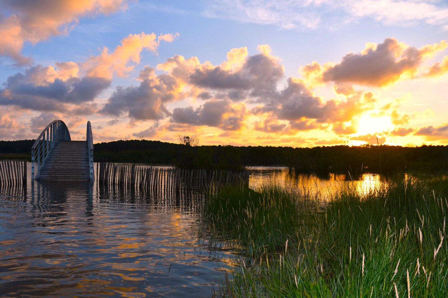 Les pieds dans l'eau à marée haute Rond point du T de Lège (D106) Arès 2026-07-16