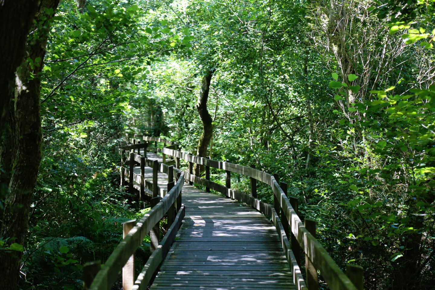 Les Pistes de Robin les trésors de Cazaux La Teste-de-Buch Gironde