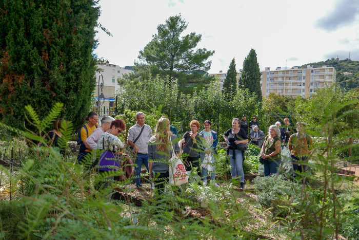 Les plantes médicinales dépuratives, Les Terrasses du Bosquet, Alès