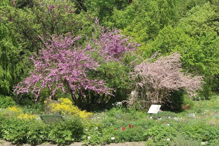 Les plus belles vues des jardins botaniques de l’université Ljubljana University Botanic Gardens Ljubljana Ljubljana