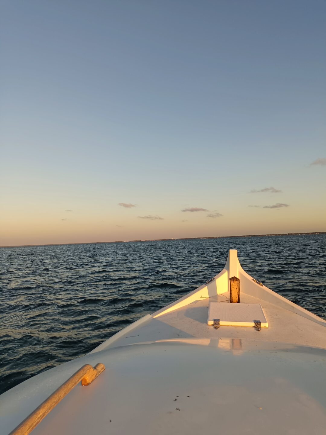 Les ports de La Teste en pinasse électrique  La Teste-de-Buch