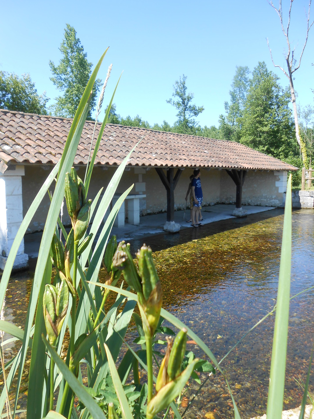 Les Randos des Nounous Le Bulidor à Creyssac Creyssac Dordogne