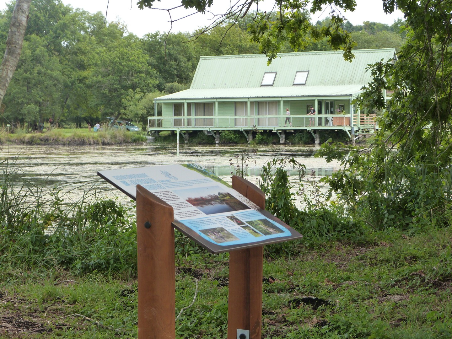 Les Randos des Nounous Les Tourbières de Vendoire Vendoire Dordogne