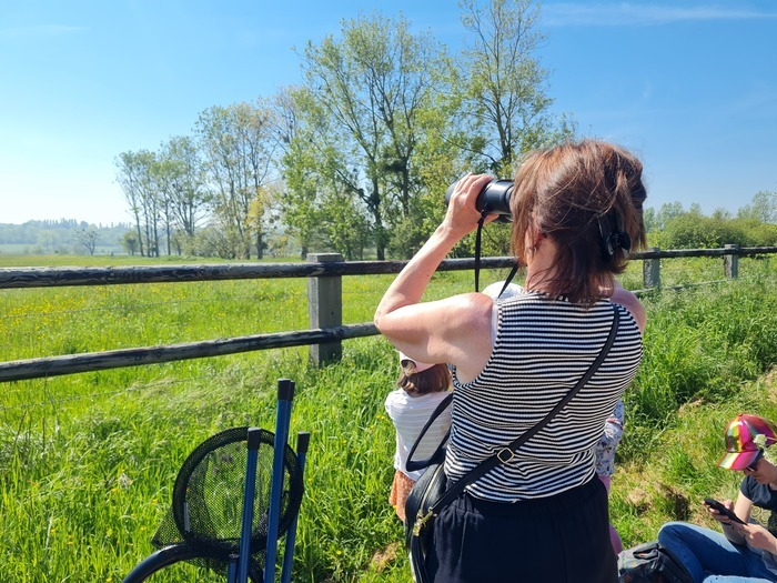 Les richesses du marais de Blonville-Villers, Avenue Jean Moulin, Villers-sur-Mer