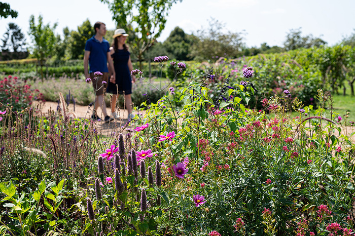 Les saisons au jardin de Talcy Château de Talcy Talcy
