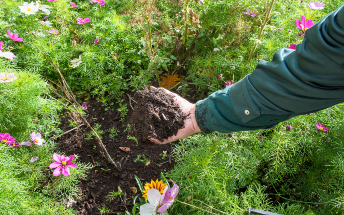 Les samedis du compostage à la maison du jardinage et du compostage Maison du Jardinage et du Compostage PARIS