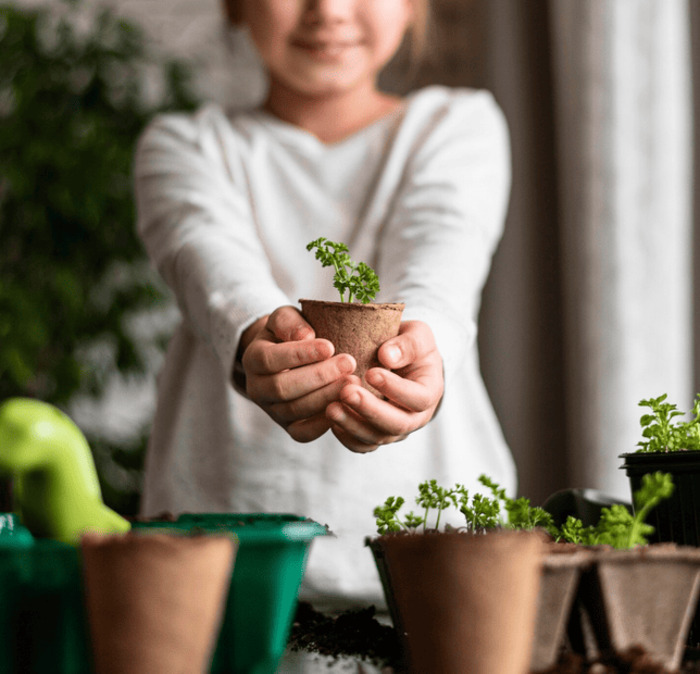 Les super-héros du jardin, Bibliothèque de la Grand&rsquo;Mare, Rouen