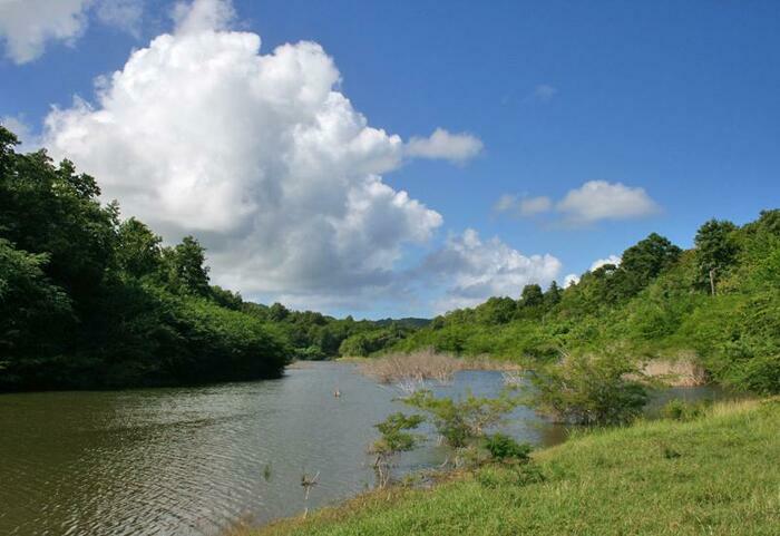 L'EXPLOITATION D’ÉLOI CEMIR EXPLOITATION D'ELOI CEMIR Saint-Louis