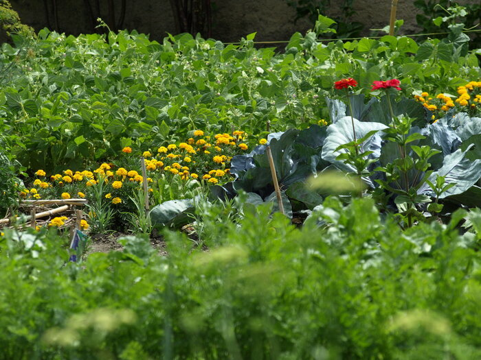 L&rsquo;observation, Distillerie, Brasserie et Potager de l&rsquo;Arsenal, Marsal