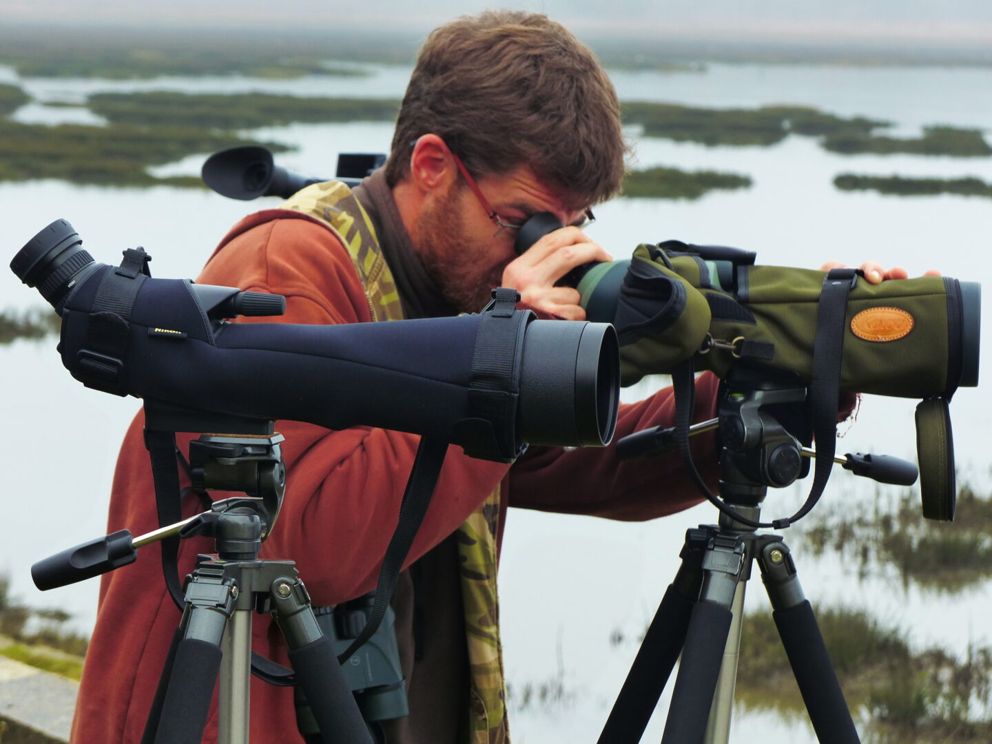 L'odyssée des oiseaux migrateurs Chemin des lapins Arès 2026-09-05