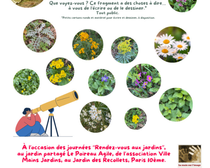 Longue-vue au jardin Jardin partagé Le poireau agile Paris