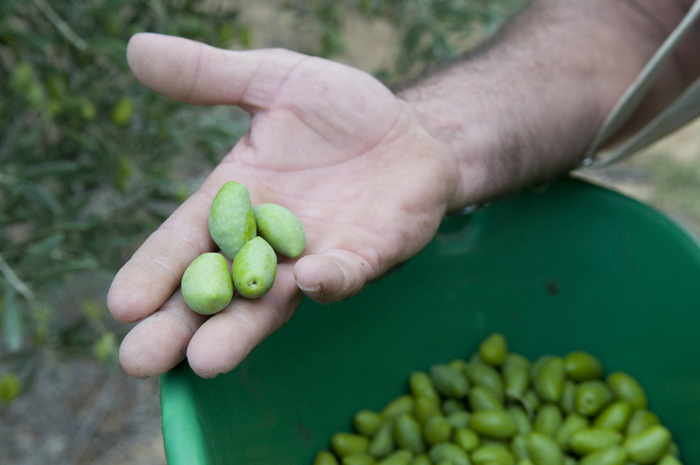 L&rsquo;Oulibo, L&rsquo;Oulibo, Bize-Minervois