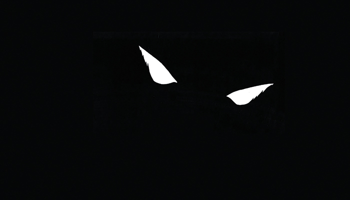 Loup noir ou la naissance d’une couverture, Médiathèque Luce Courville, Nantes