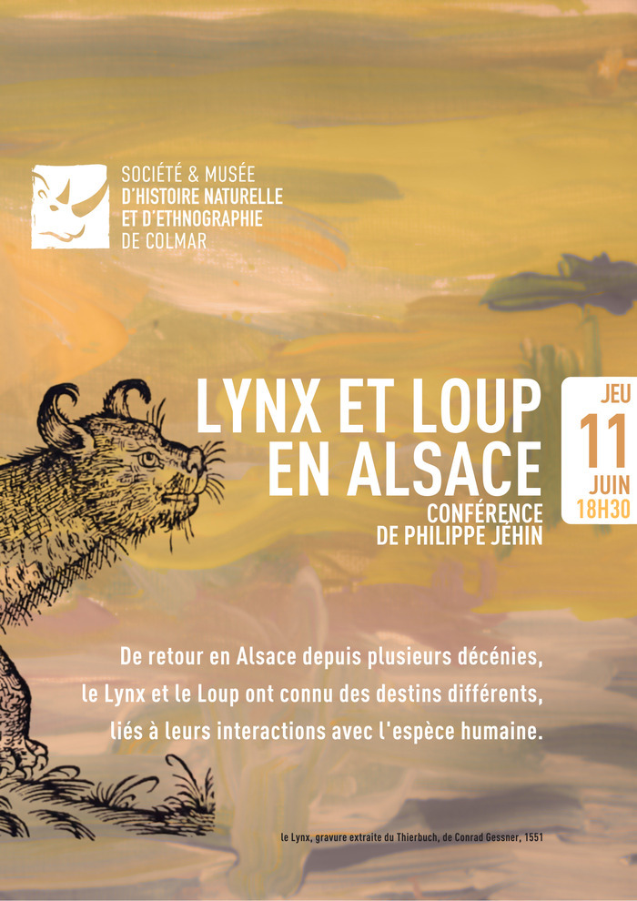 Lynx et Loup en Alsace Musée d'Histoire naturelle et d'Ethnographie de Colmar Colmar