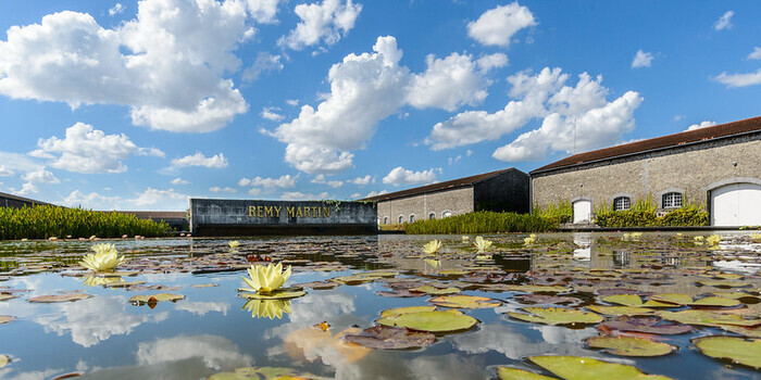 Maison Rémy Martin Maison Rémy Martin Cognac
