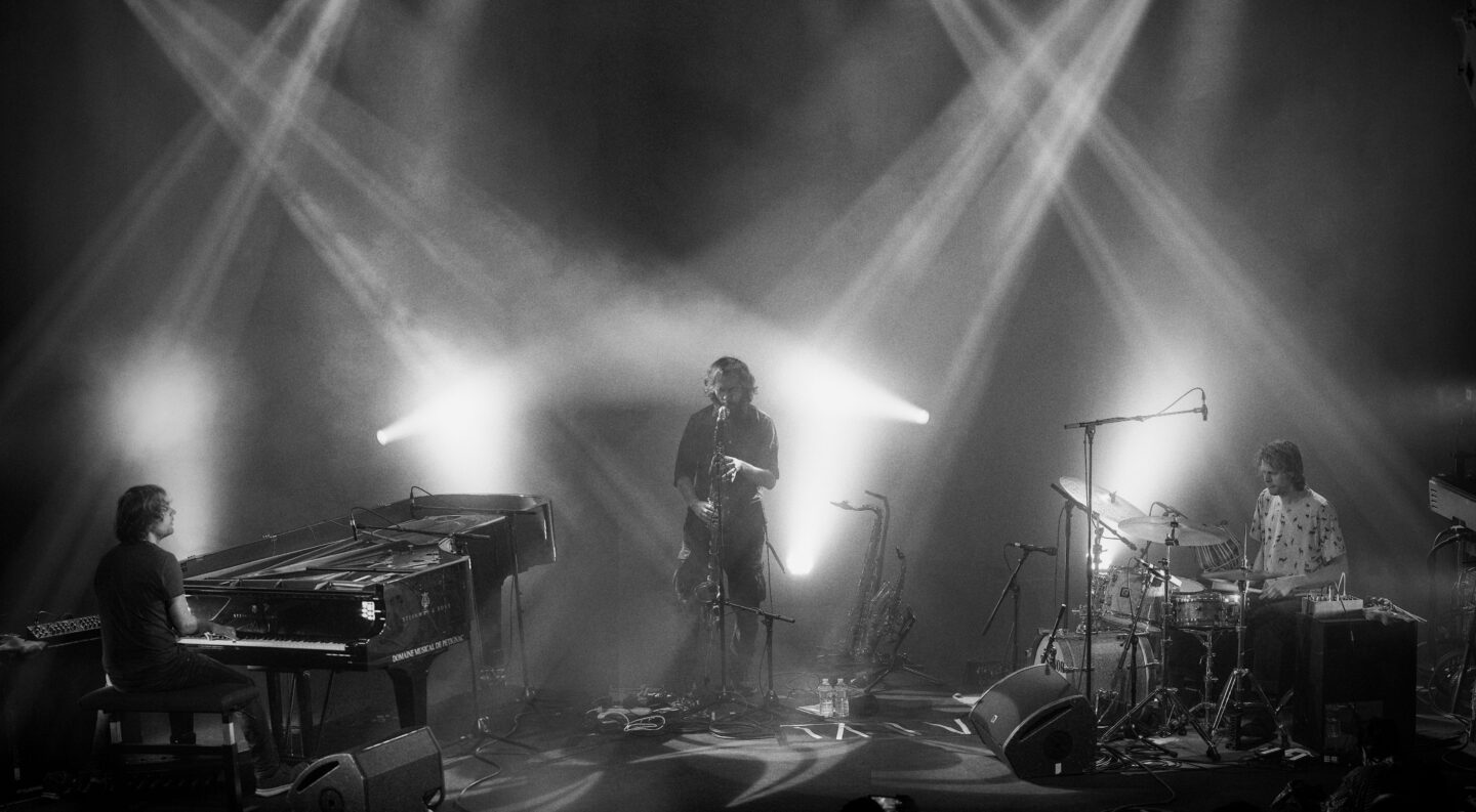 MAMMAL HANDS   1ERE PARTIE LA SIRENE – Espace Musiques Actuelles La Rochelle