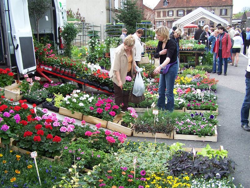 Marché aux fleurs, Artisanat et Saveurs du terroir Salle Polyvalente, Henriville