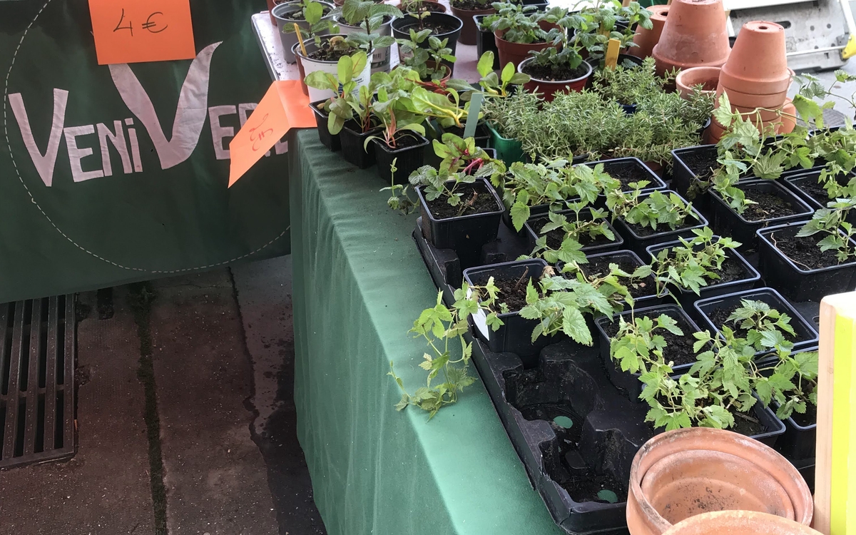 Marché aux plantes local et festif de la Brasserie des Regards Brasserie des Regards Paris