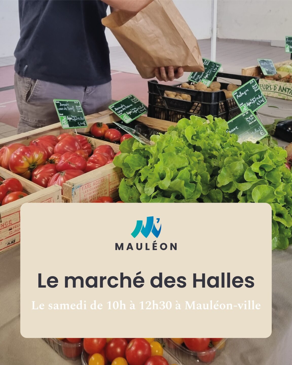 Marché de Mauléon Place du Château Mauléon
