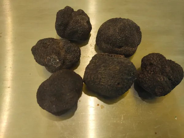 Marché de Noël et Fête de la Truffe  Comprégnac