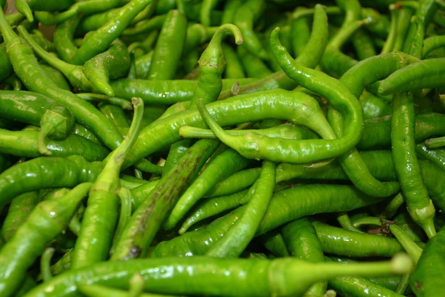 Marché de Quintaou Esplanade Quintaou Anglet