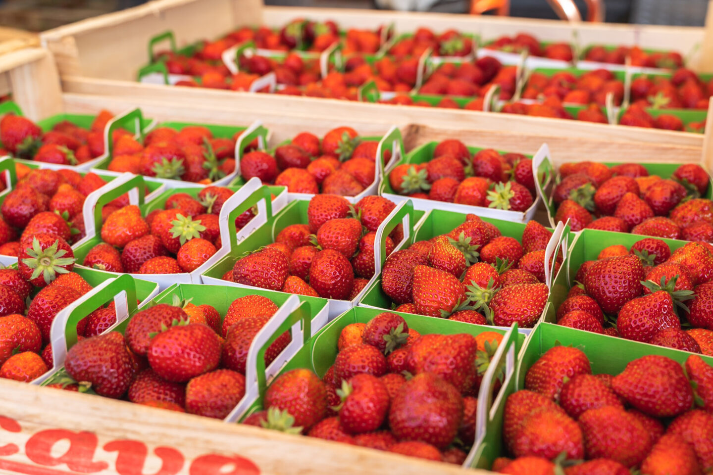 Marché de Quintaou Esplanade Quintaou Anglet