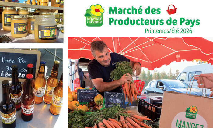 Marché des producteurs de Pays, Mairie, Vivy (49), Vivy