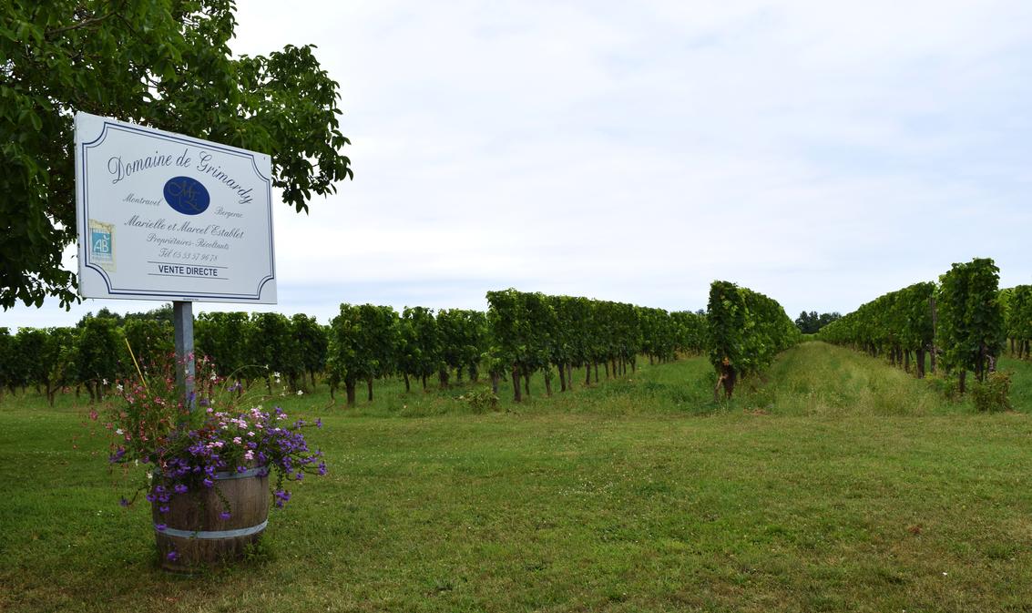 Marche nordique et dégustation | Domaine de Grimardy 14 Lieu-dit Les Grimards Montazeau 2026-07-07