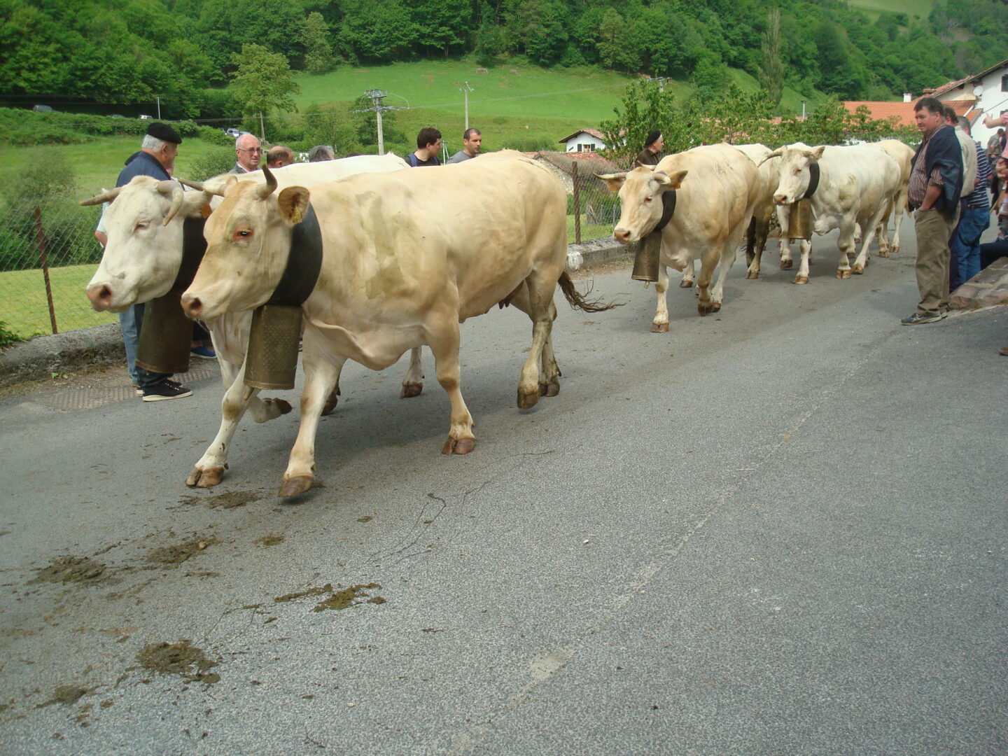 Marque d&rsquo;Urepel  Urepel