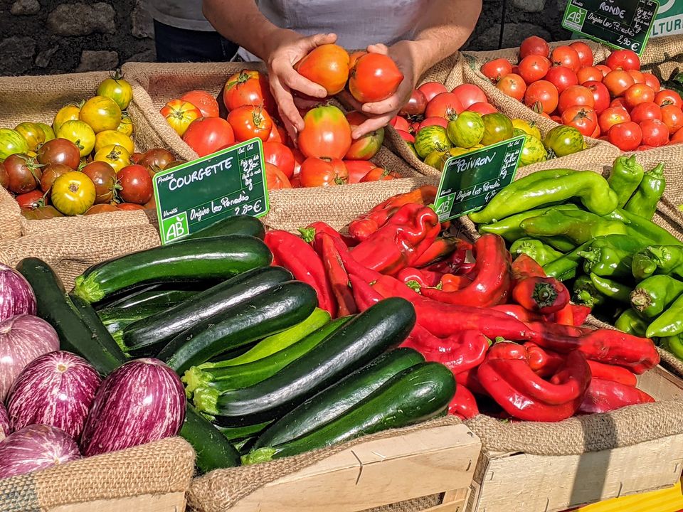 MERCAT DEL SOL  Sorède