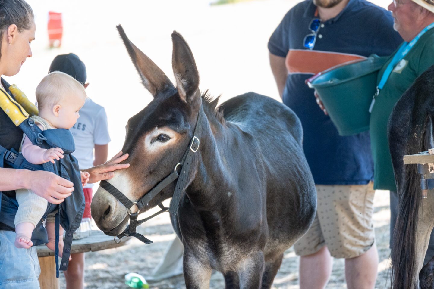 Mercredis du Lac En famille au Lac Plage de Santrop Razès 2026-07-29