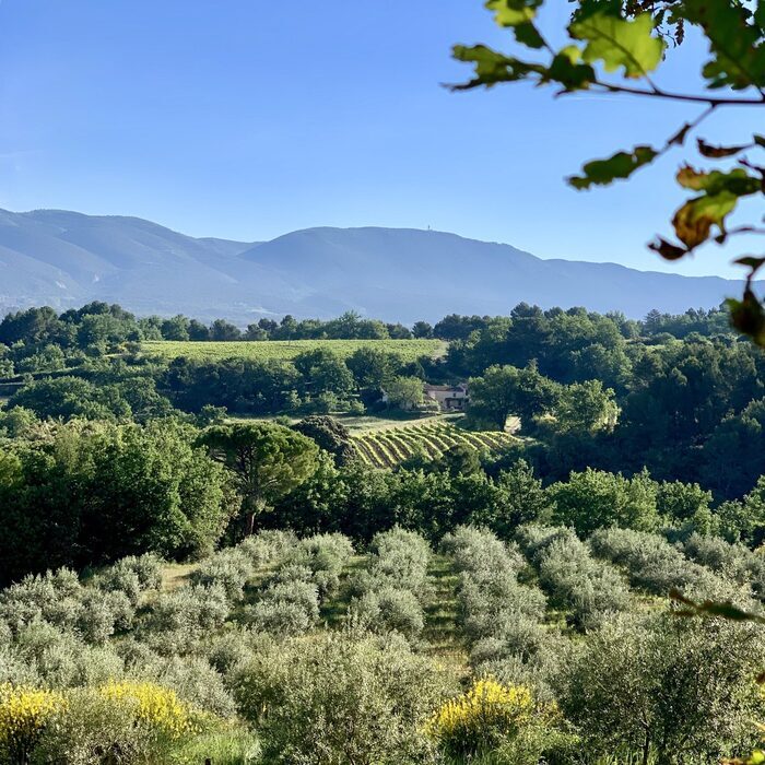 Moulin du Grand Cèdre – Bastide du Laval, Moulin à huile Bastide du Laval, Cadenet
