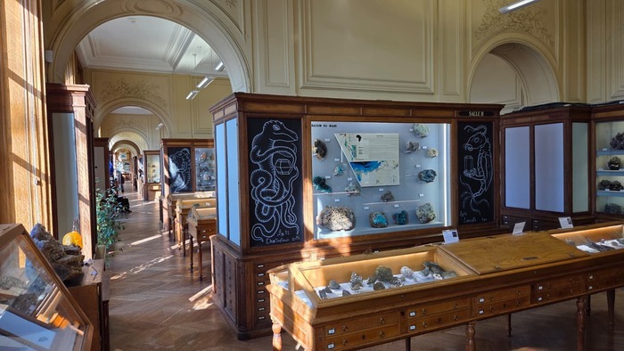 Musée de Minéralogie et exposition « Codex on the Rocks », Musée de Minéralogie de l&rsquo;Ecole des Mines de Paris, Paris