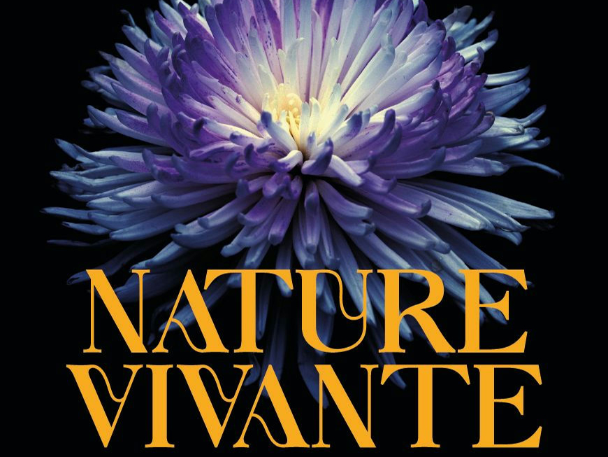 Nature vivante  Le Blanc