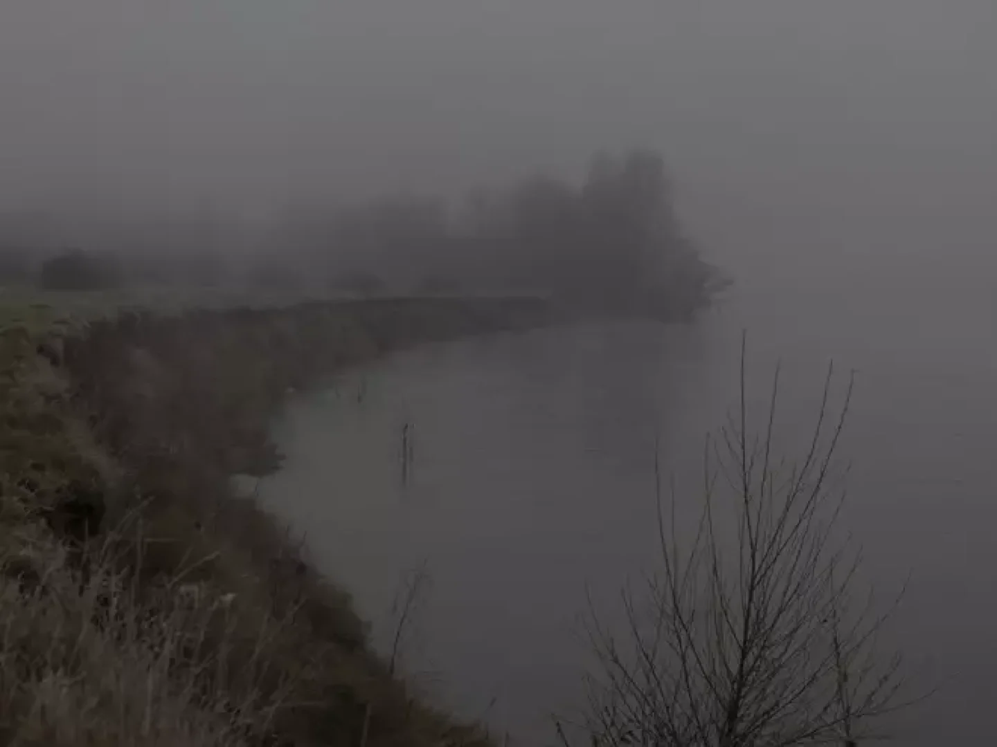 Nebula liger un fleuve à soi 25 Avenue André Malraux Tours 2026-05-29