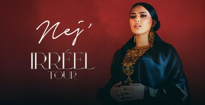 Nej&rsquo; – Irréel Tour, Zénith de Nantes Métropole, Saint-Herblain