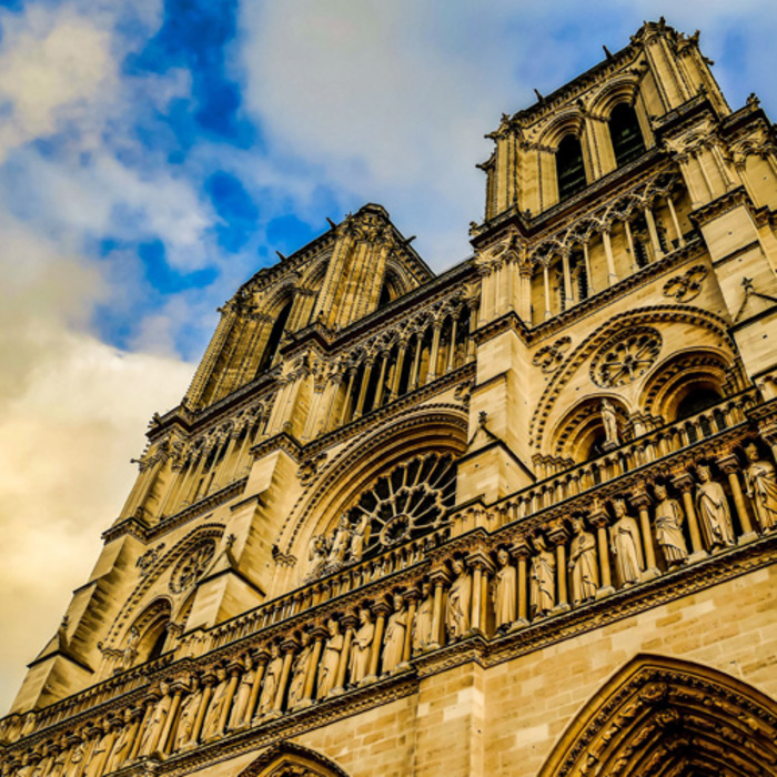 Notre Dame de Paris – Visite en réalité virtuelle, La Source, Roncq