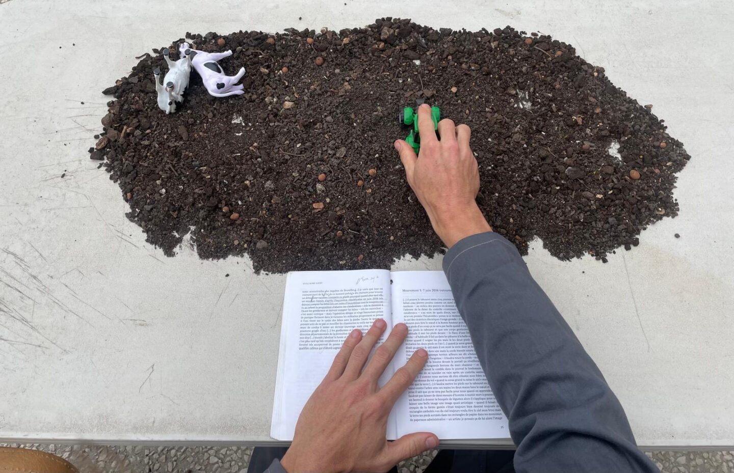 NOUVELLE LECTURE PUBLIQUE • LE COMITÉ DE LECTURE PUBLIQUE 85 rue des Cigognes, Ramonville Ramonville-Saint-Agne