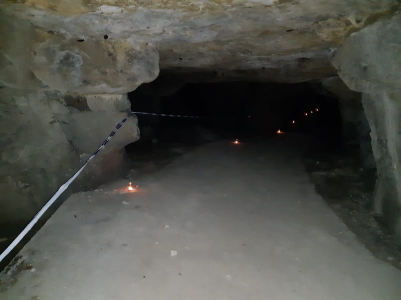 Nuit de la chauve-souris Les Caves Le Tranger 2026-07-04